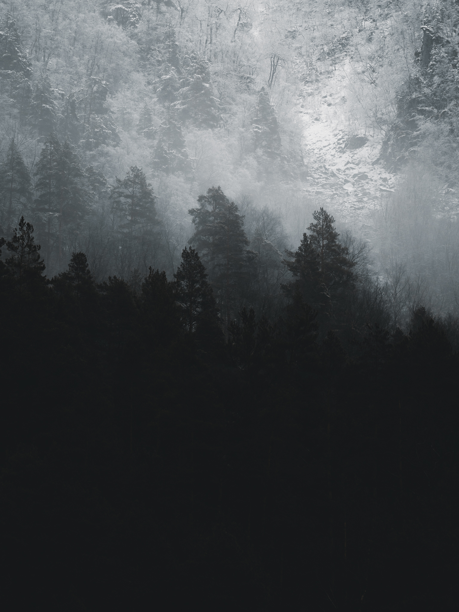 No.2 - Where Light Fades