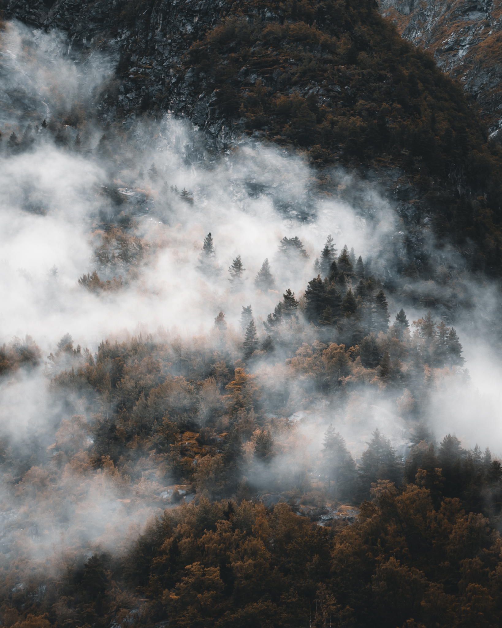 No.26 - Hidden in Mist