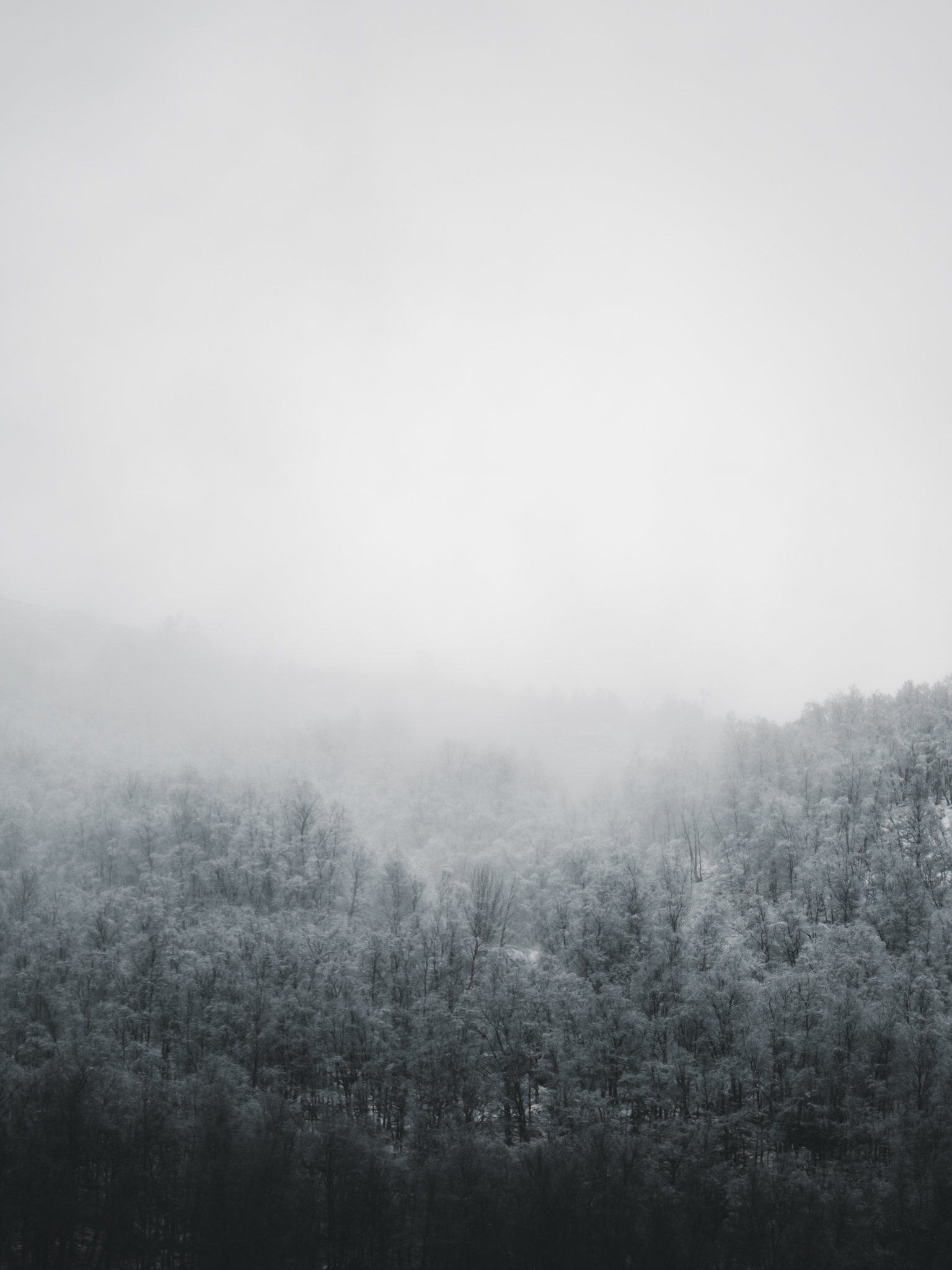 No.1 - Veil of Winter